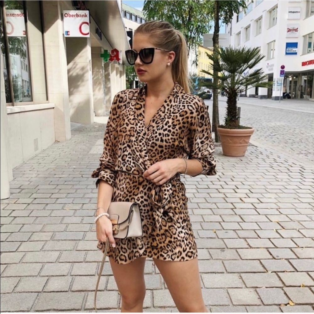 ZARA NWOT Animal Print Jumper Dress
